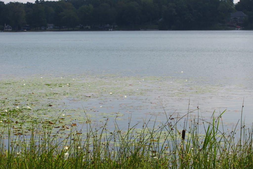 Bogie Lake viewed from Bogie Lake Road by UnagiUnagi