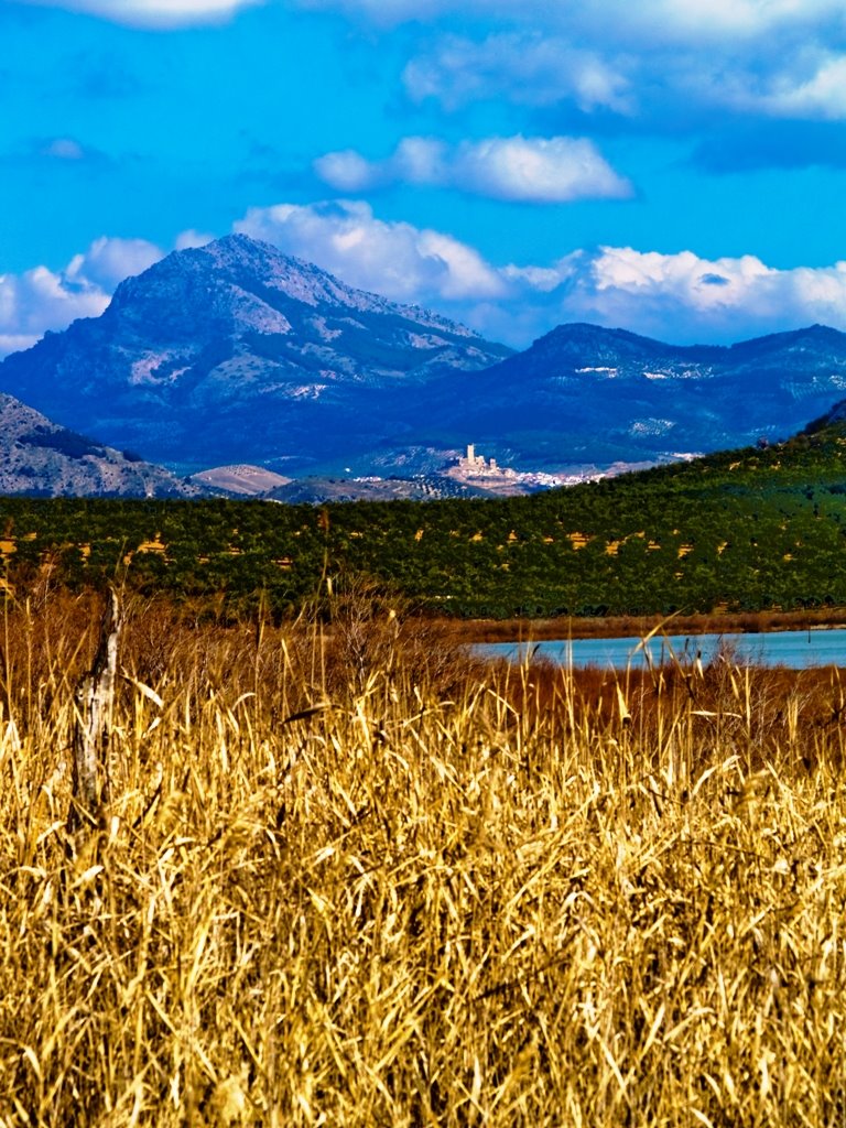 Alcaudete desde laguna del Salobral by Espartero