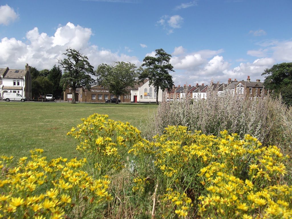 Plumstead Common flowers by gordo1958