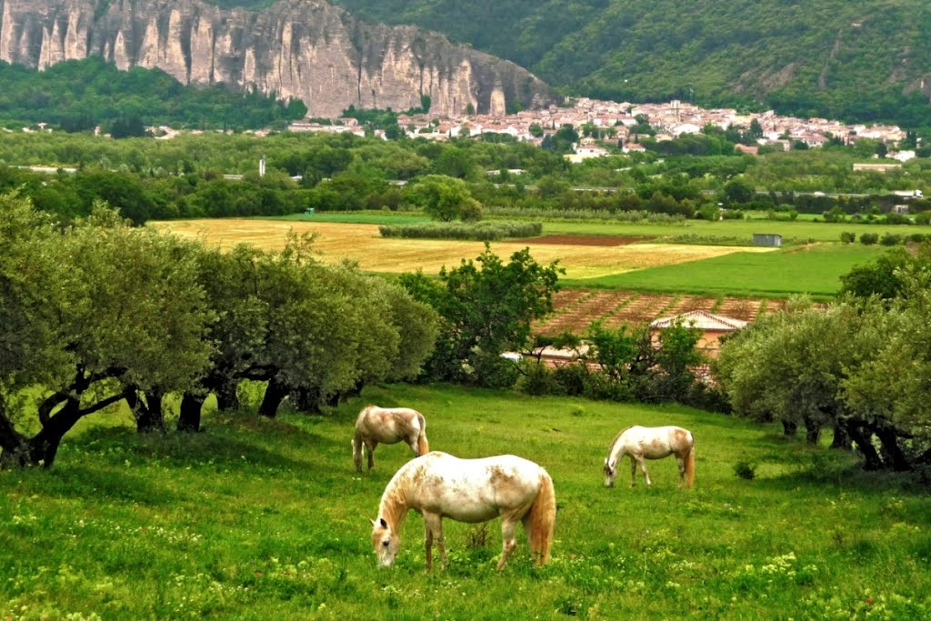 Les Mees by Jürg K.