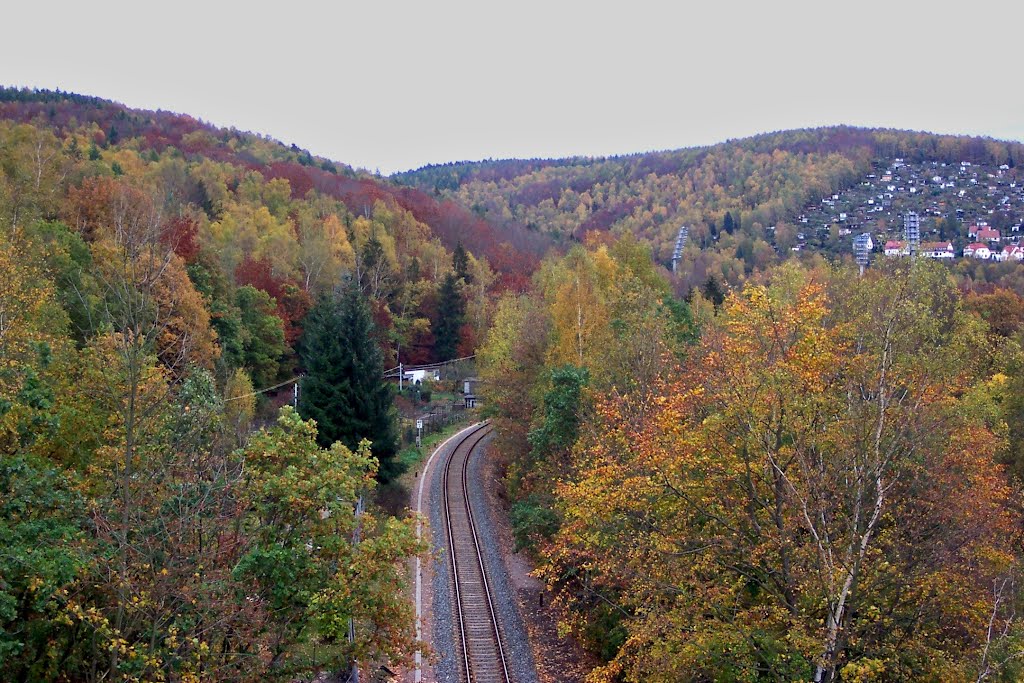 Der Blick von der Brücke im herbstlichem Flair by jotri17