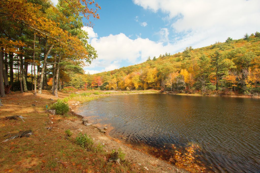 Crow Hills Pond by Robert Galvin