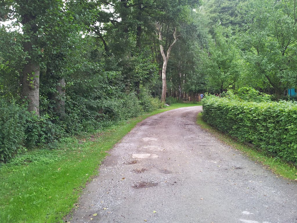 Feldweg beim "Gastlichen Dorf" by Adam Fratczak