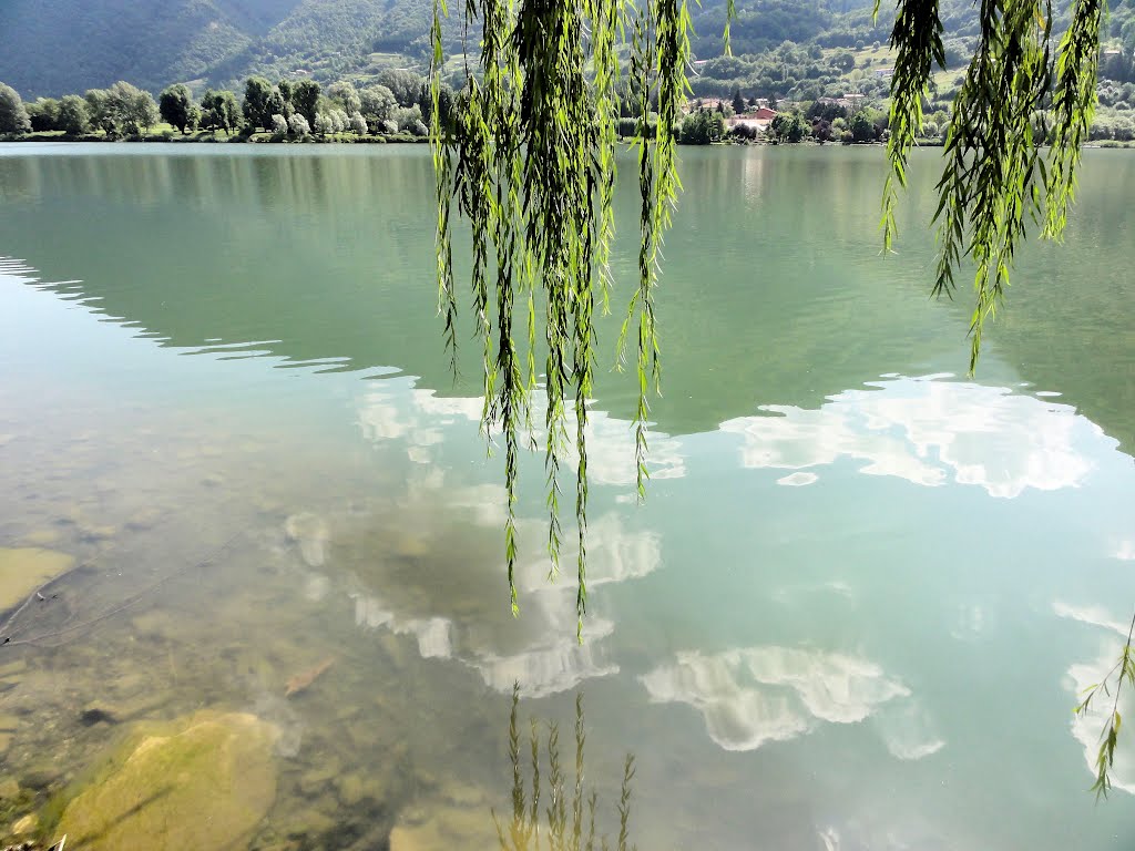 Spinone al Lago by osvi