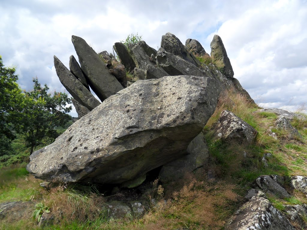 Part of the Altar stones and rocks with Prehistoric creature look at Markfield village, by Bobsky.