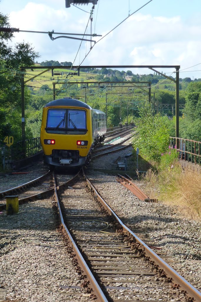 Train on bridge by Craig Hutton