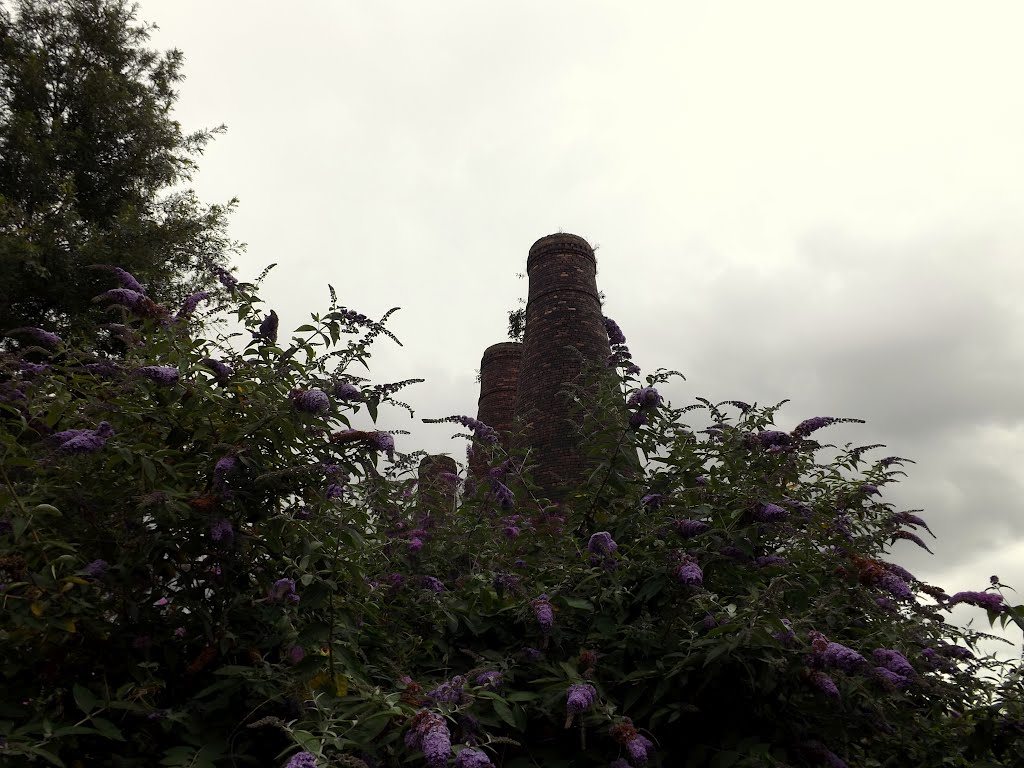 Acme Marls three bottle Kilns, Bournes Bank - 08/12 by Joe Percy