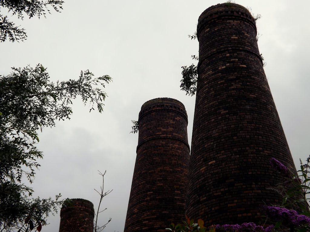 Acme Marls three bottle Kilns, Bournes Bank - 08/12 by Joe Percy