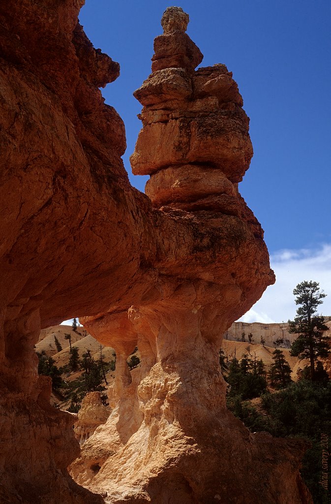 Mossy Cave Trail, UT by aisavery