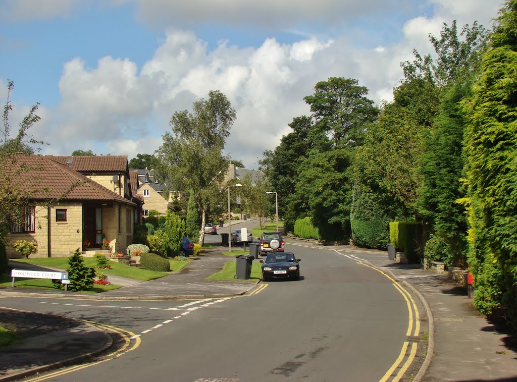 Looking along Sandygate Park 1, Sandygate, Sheffield S10 by sixxsix