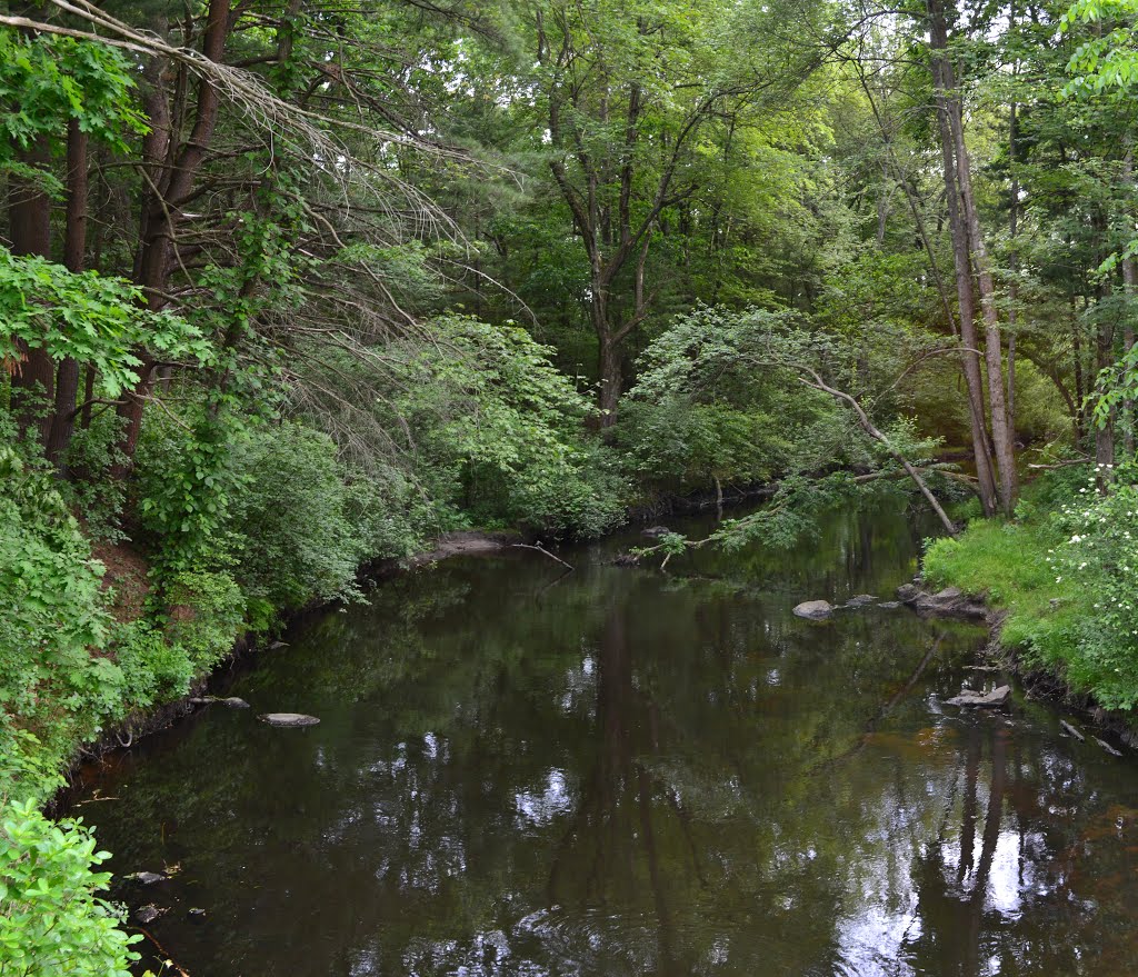 Ipswich River from the S.W.E.A.T. Bridge by weirdpix