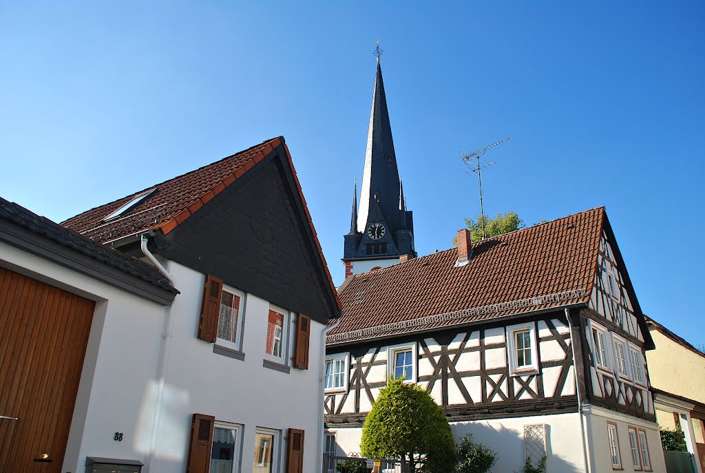 Wiesbaden-Biebrich, Am Schloßpark, Blick auf ev. Kirche by icon63