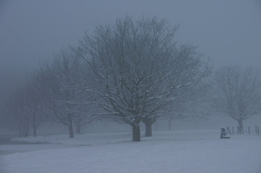 Winter in de bijlmer by Paul Nechkova-Raven