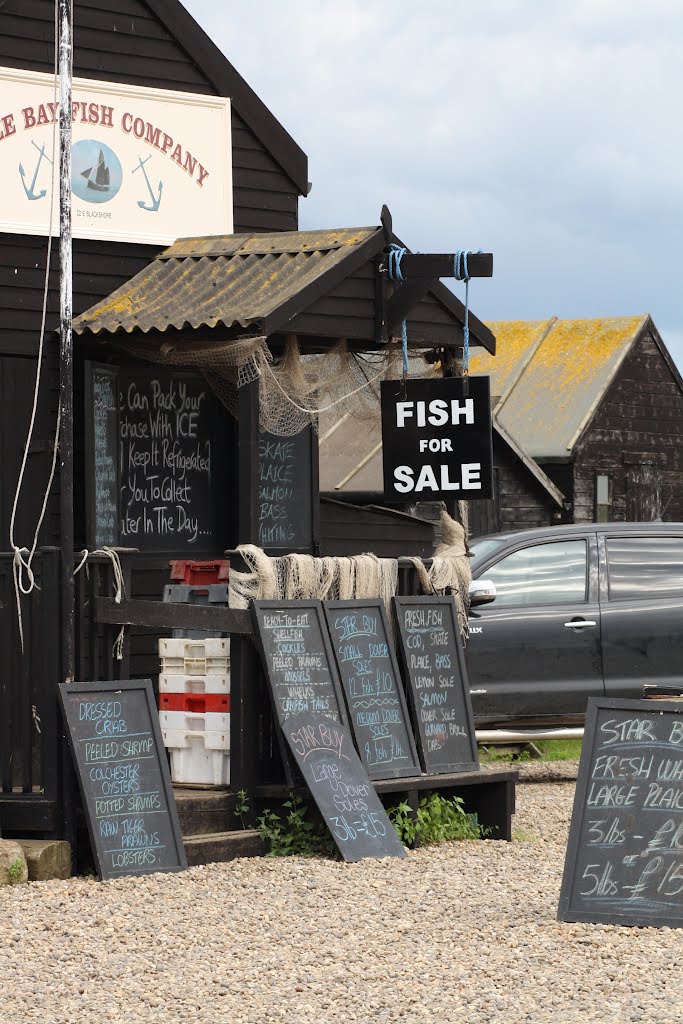 Southwold by David Owen