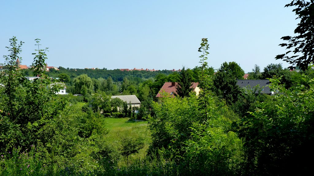 Chełmno - widok z terenu na obrzeżach miasta. by Kazimierz .Mendlik