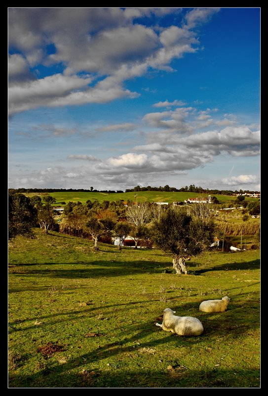 Santo Estêvão, Benavente - 2008 by http://pedroalmeidafotograf.wix.com/2012