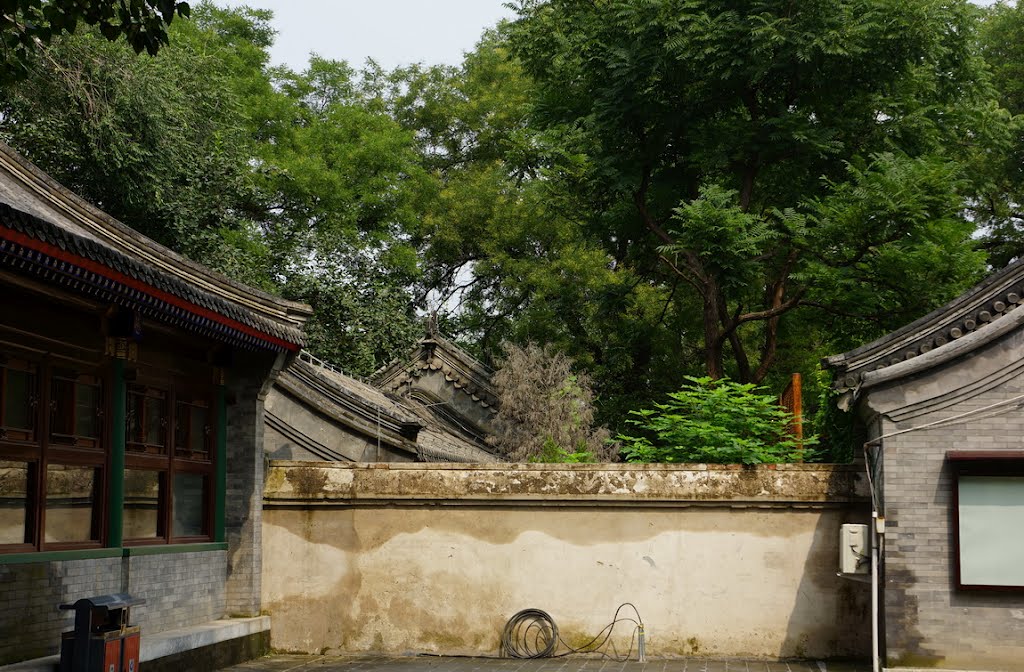 涛贝勒府旧址 光绪二十八年 Former Residence of Prince Tao (1902) by rhizome