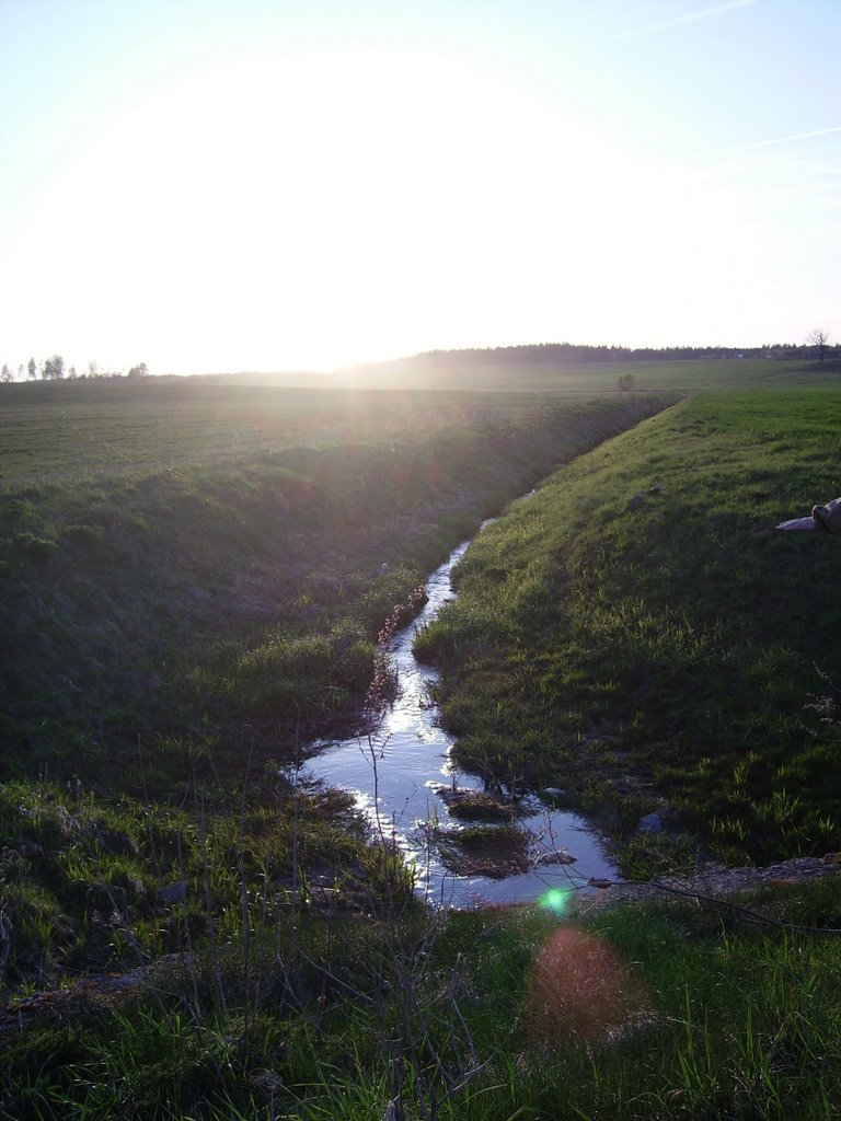 River near Vilkonys by A440