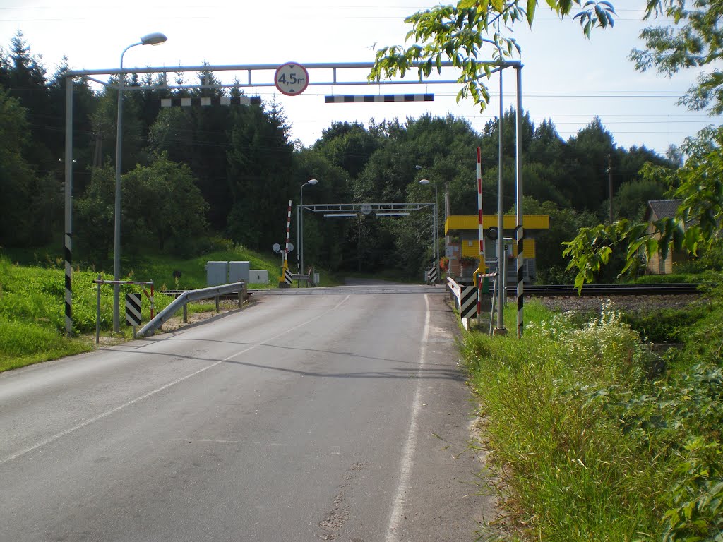 Geležinkelio pervaža - Rail crossing by Gintarele