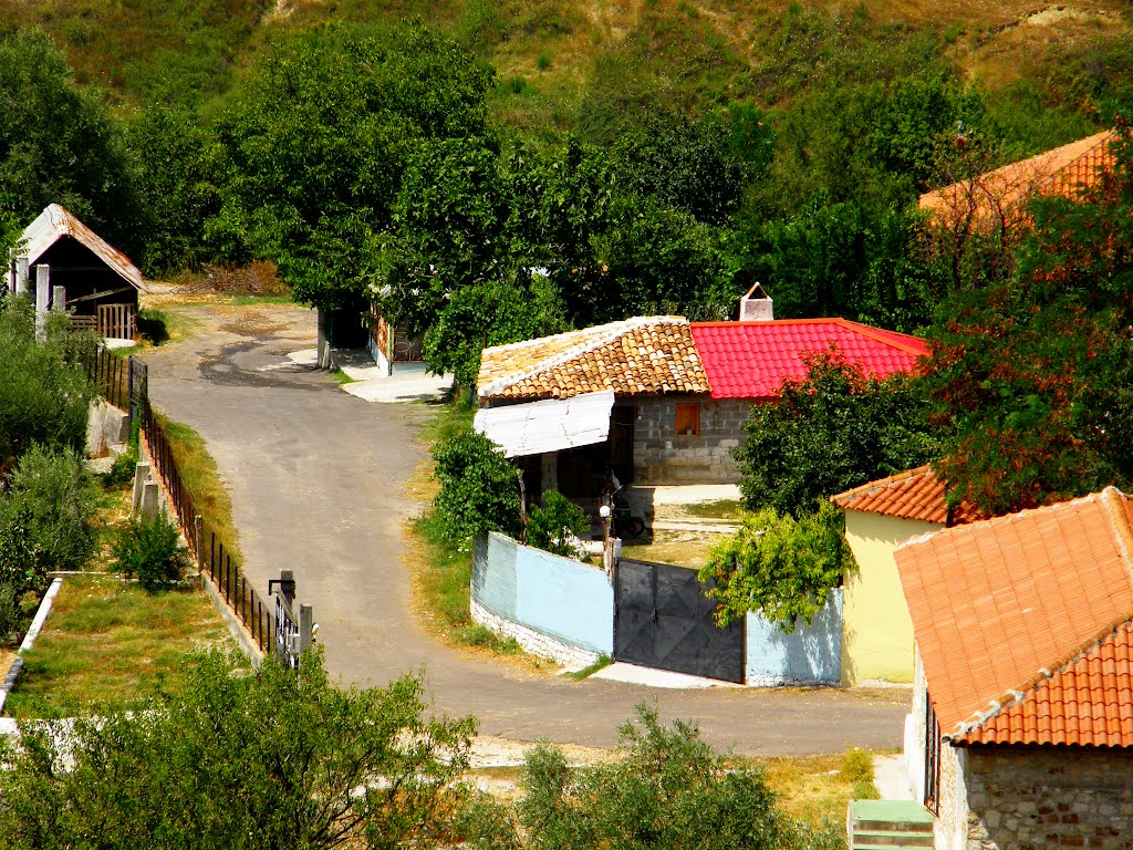 Albania - Fier: Kreshic... by Sofjan Kotorri