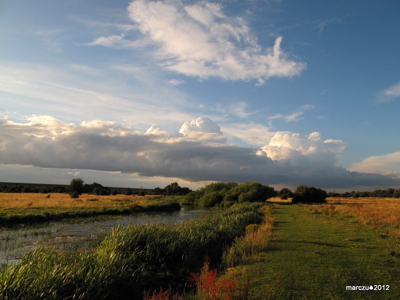 Staines Moor by marczu♠