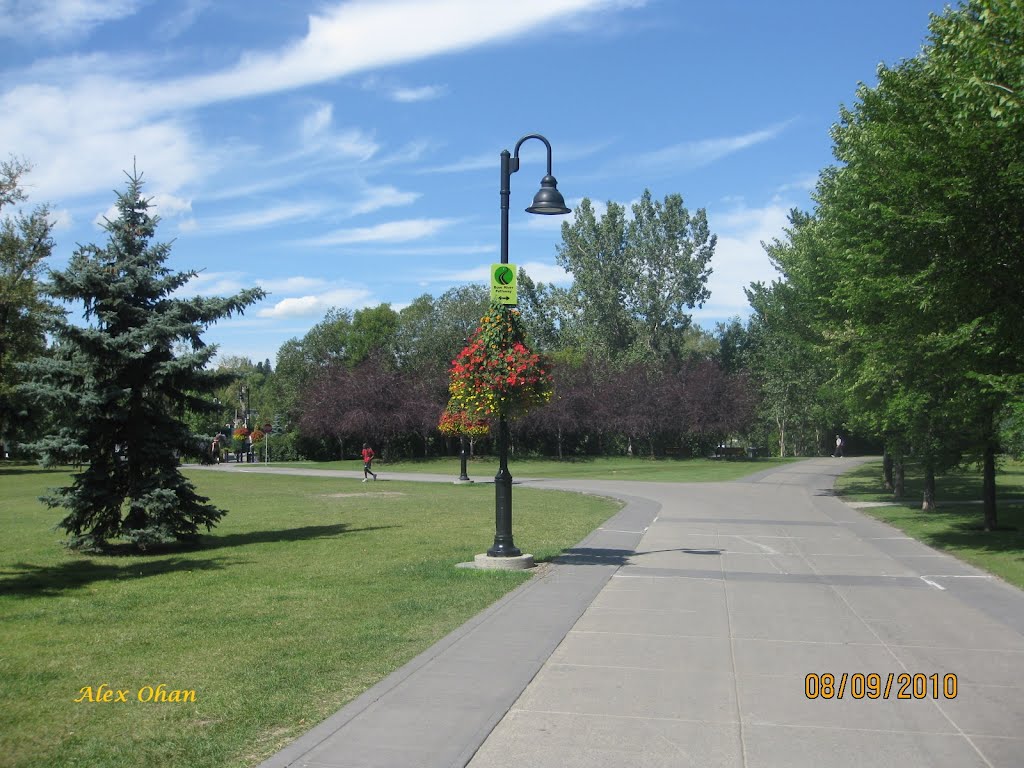 Amazing park, Calgary by Alex Ohan