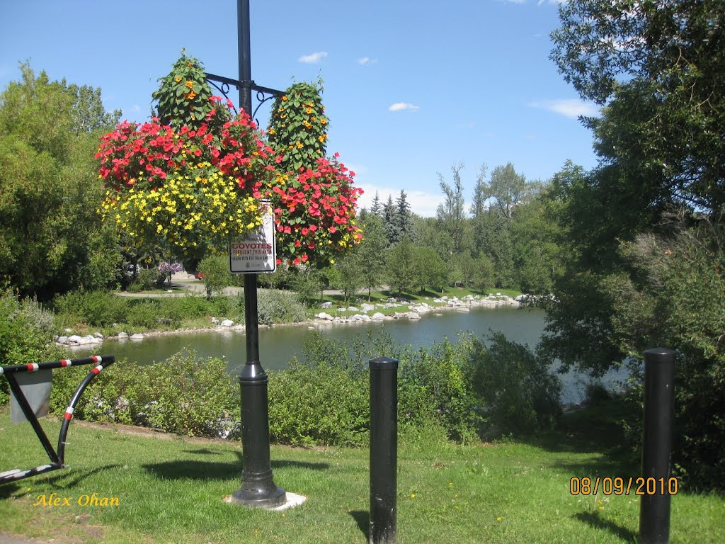 Amazing park, Calgary by Alex Ohan