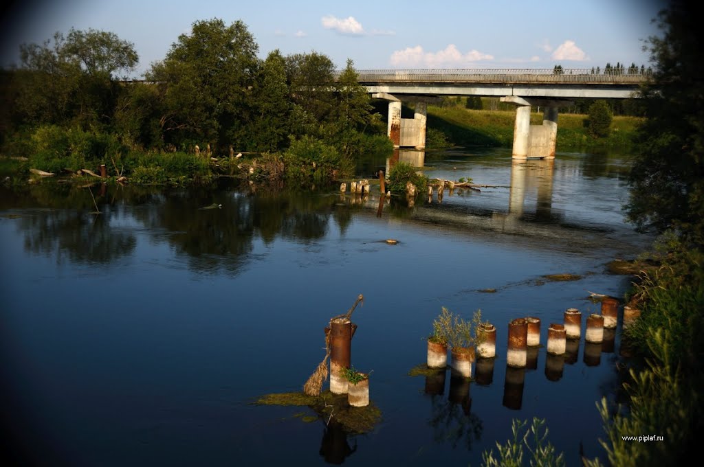 Мост через р.Ирень (The bridge via river Iren ) by piplaf