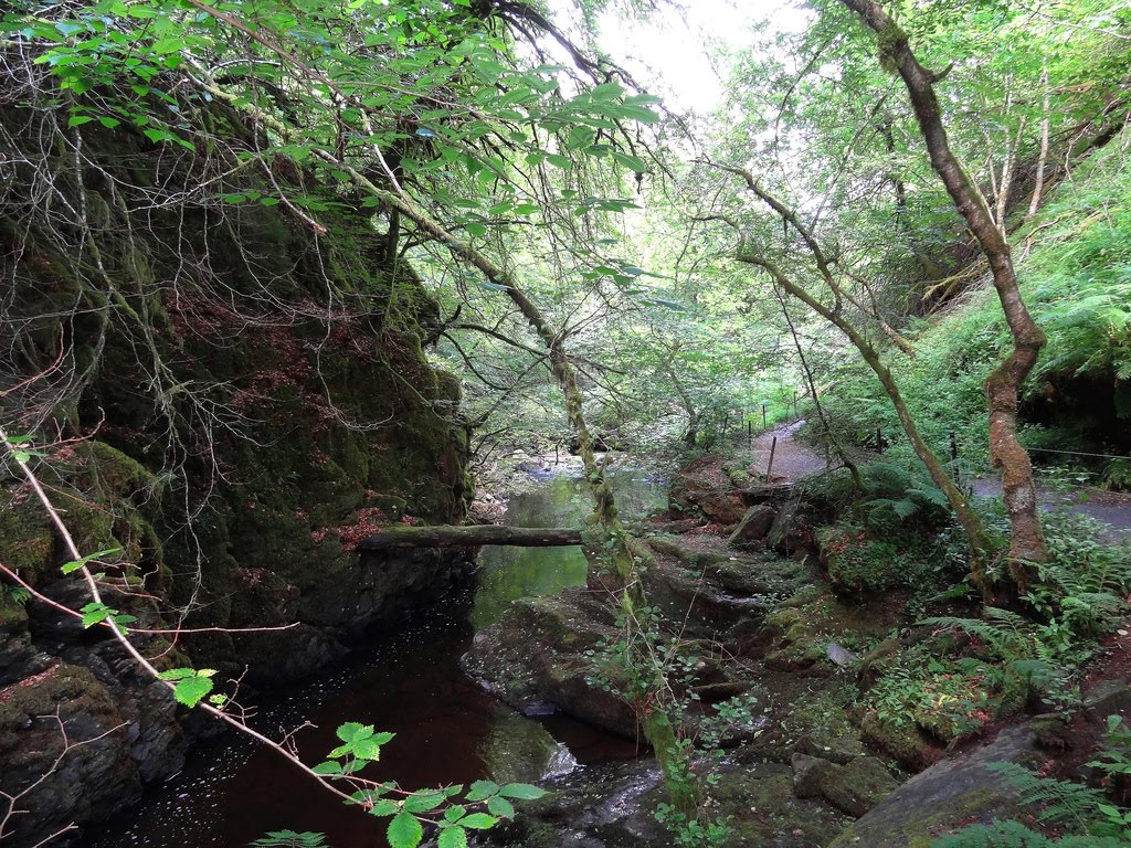 More of the Birks Of Aberfeldy by Grace Hegarty