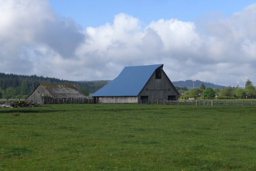 Blue roofed Barn in Forks by AGW