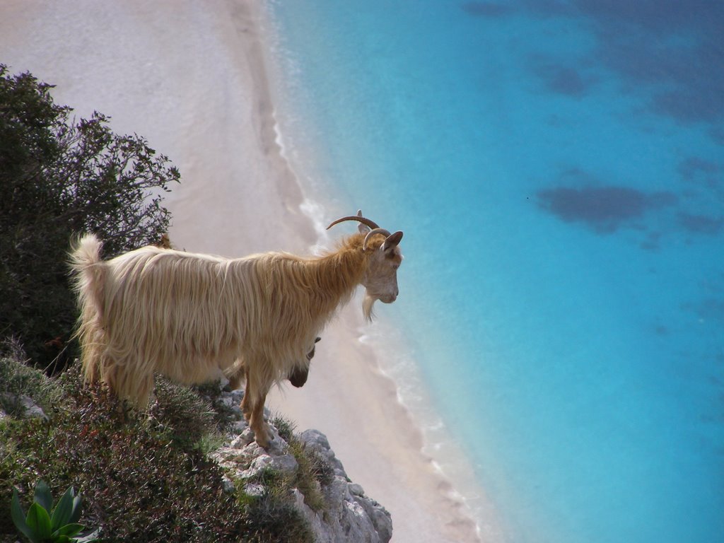 Looking at Myrtos Beach!!! Kefalonia-Κεφαλονιά..@ by Dinos Christopoulos