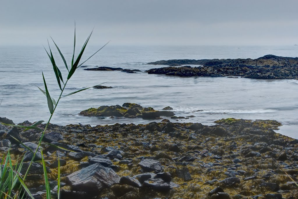 Perkins Cove view from marginal way by intrio