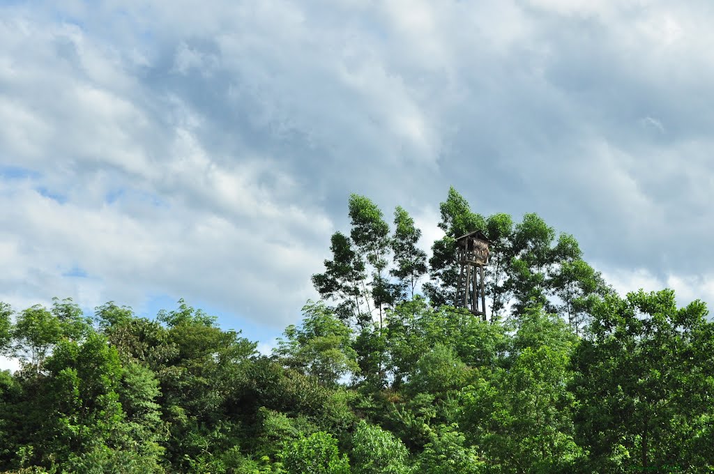 Trạm quan sát cháy rừng by hongky.photo.vn