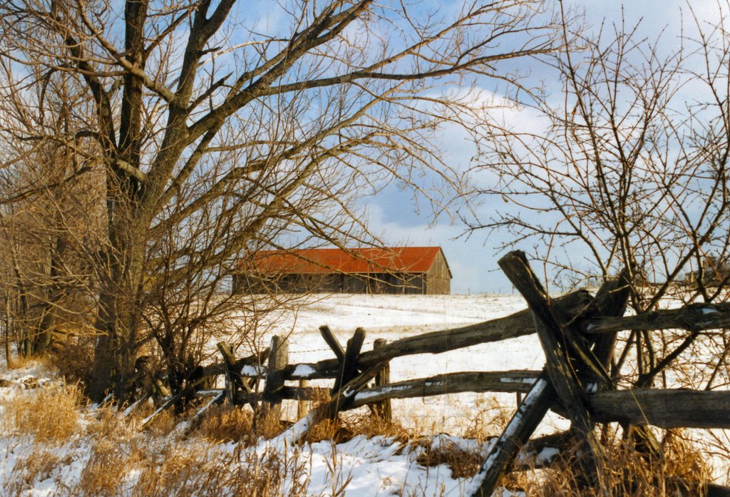 Bailieboro Canada - Late Spring 1999 by Hank Waxman