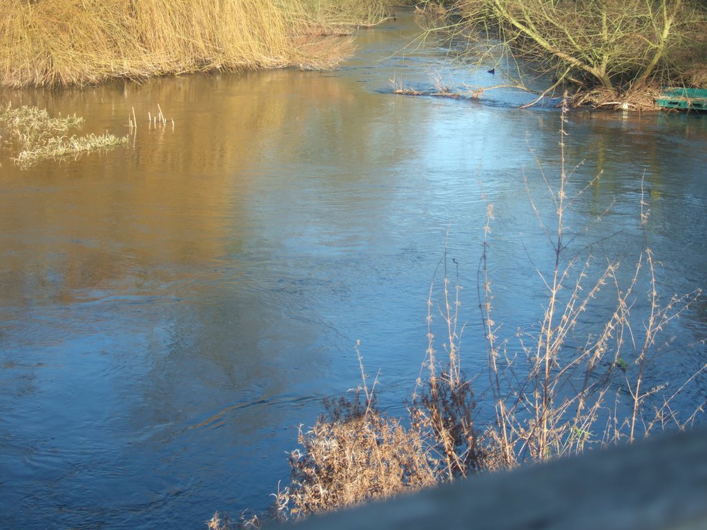 River Lee in Flood, Cheshunt by Severous