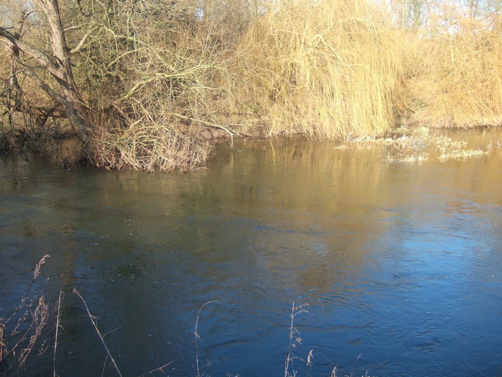 River Lee in Flood, Cheshunt by Severous