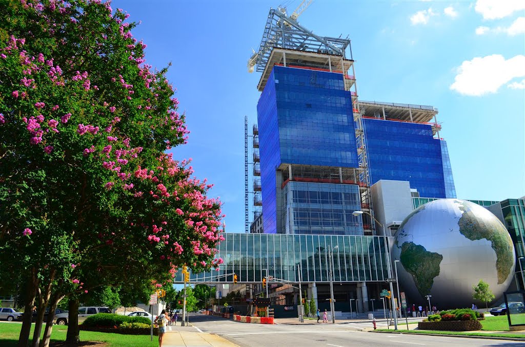 Raleigh Museum of Natural Sciences - its very blue! by David Brown Photography