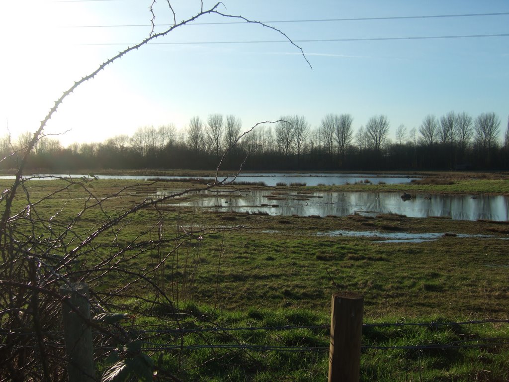 Marsh land, Cheshunt by Severous