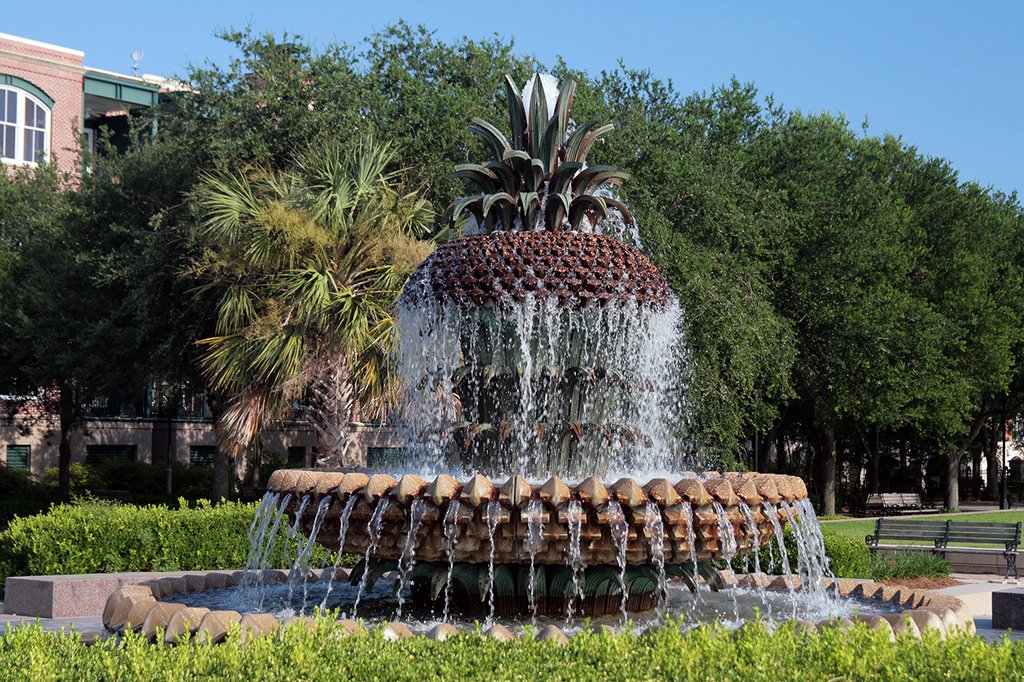 Pineapple Fountain, Charleston by R. D. Gardner