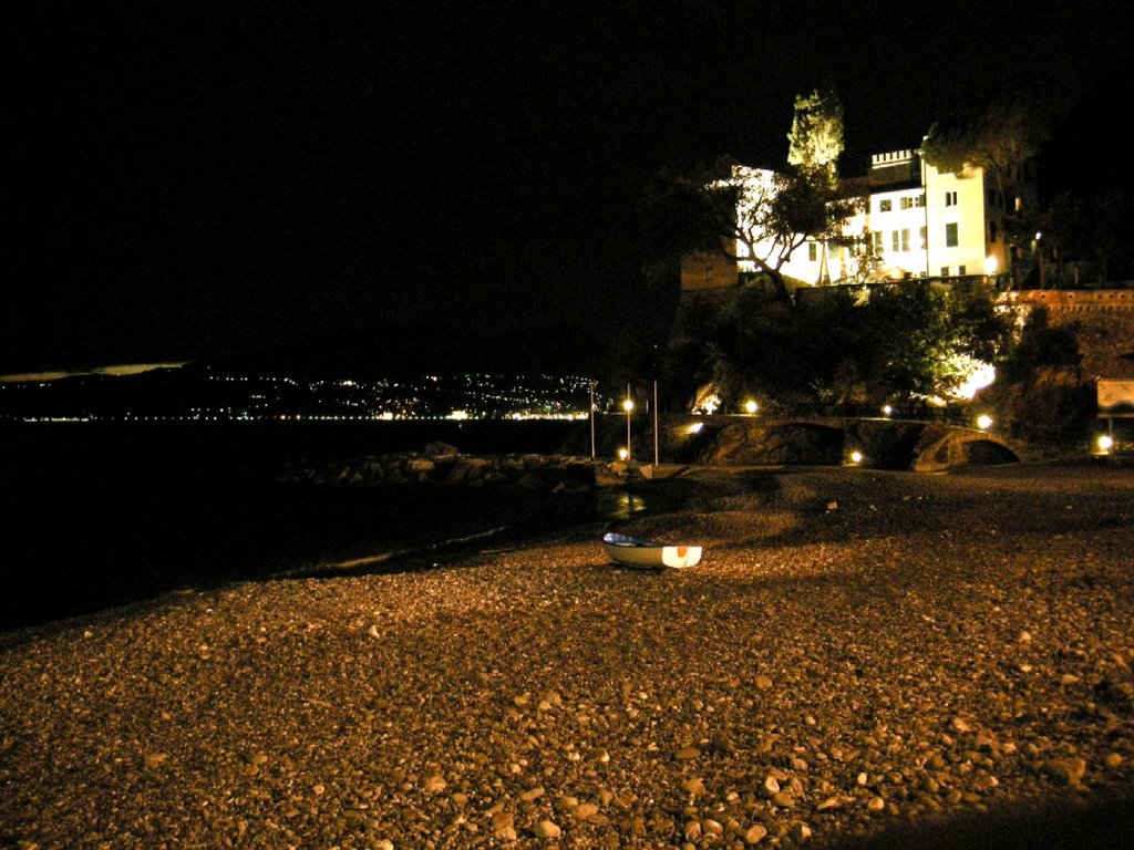 Golfo del Tigullio di notte by pier luigi baglioni