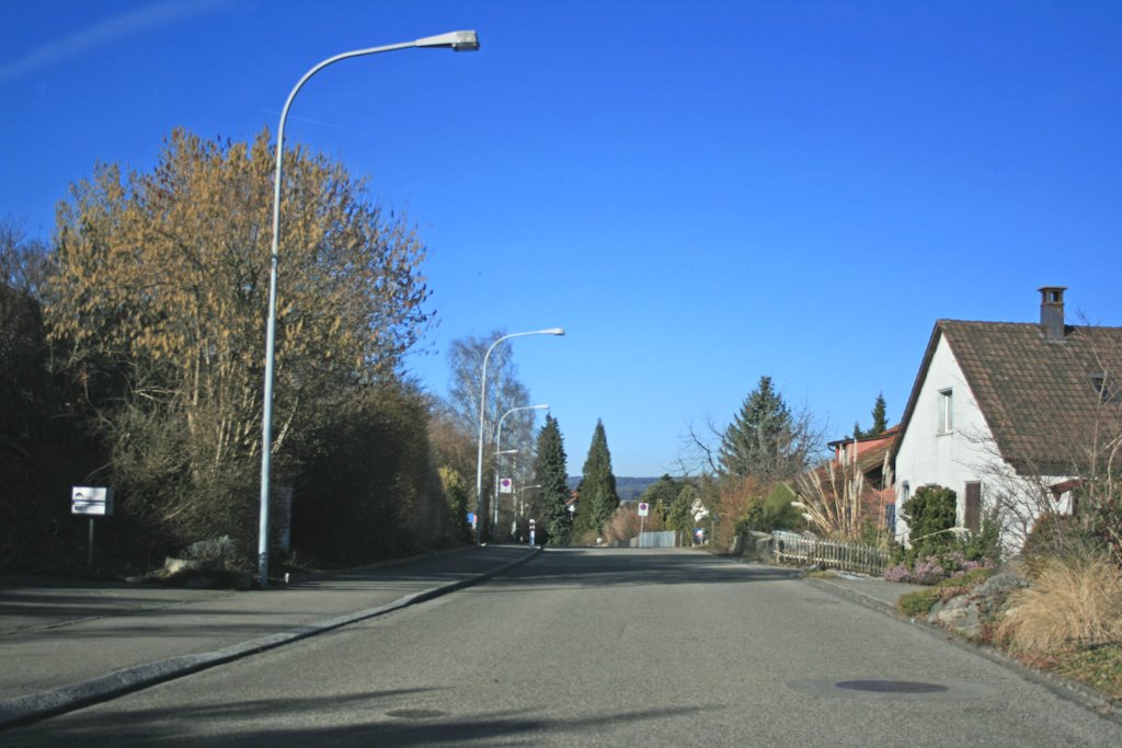 Street in Dielsdorf by Badi71