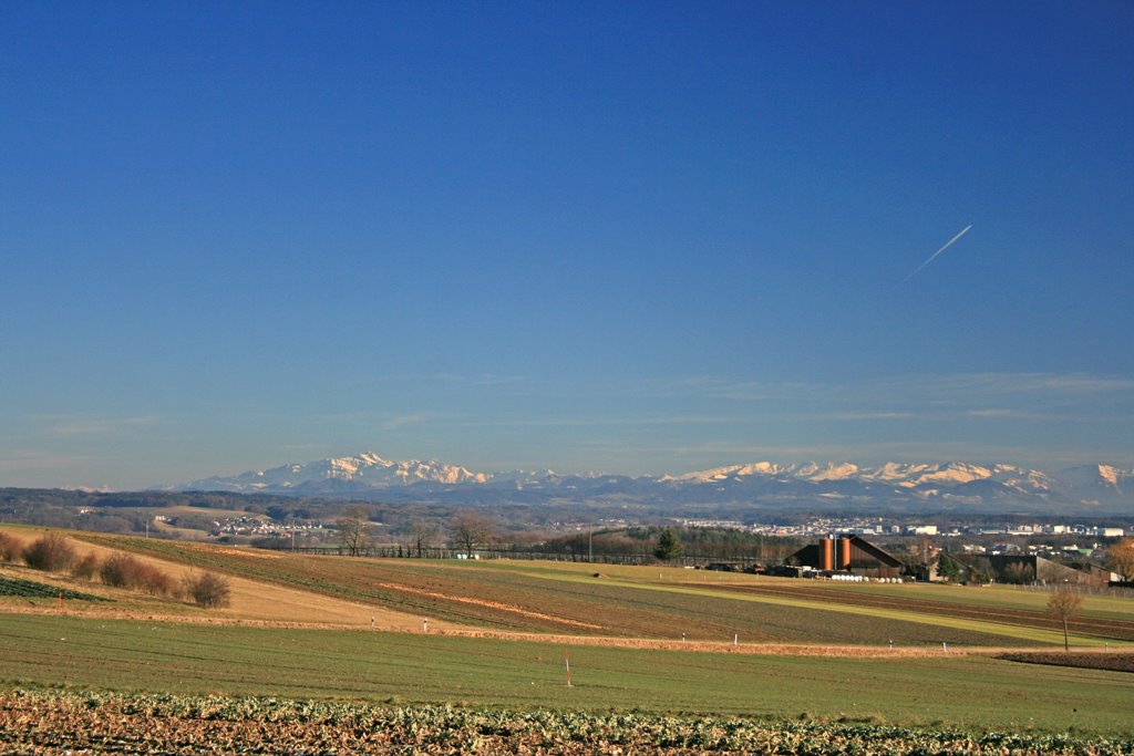 View to Swiss Mountains III by Badi71