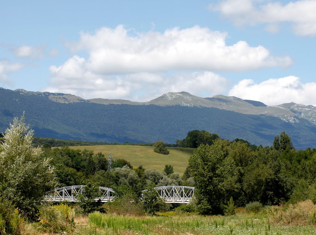 Bridge over the rhone by jennyfdowning