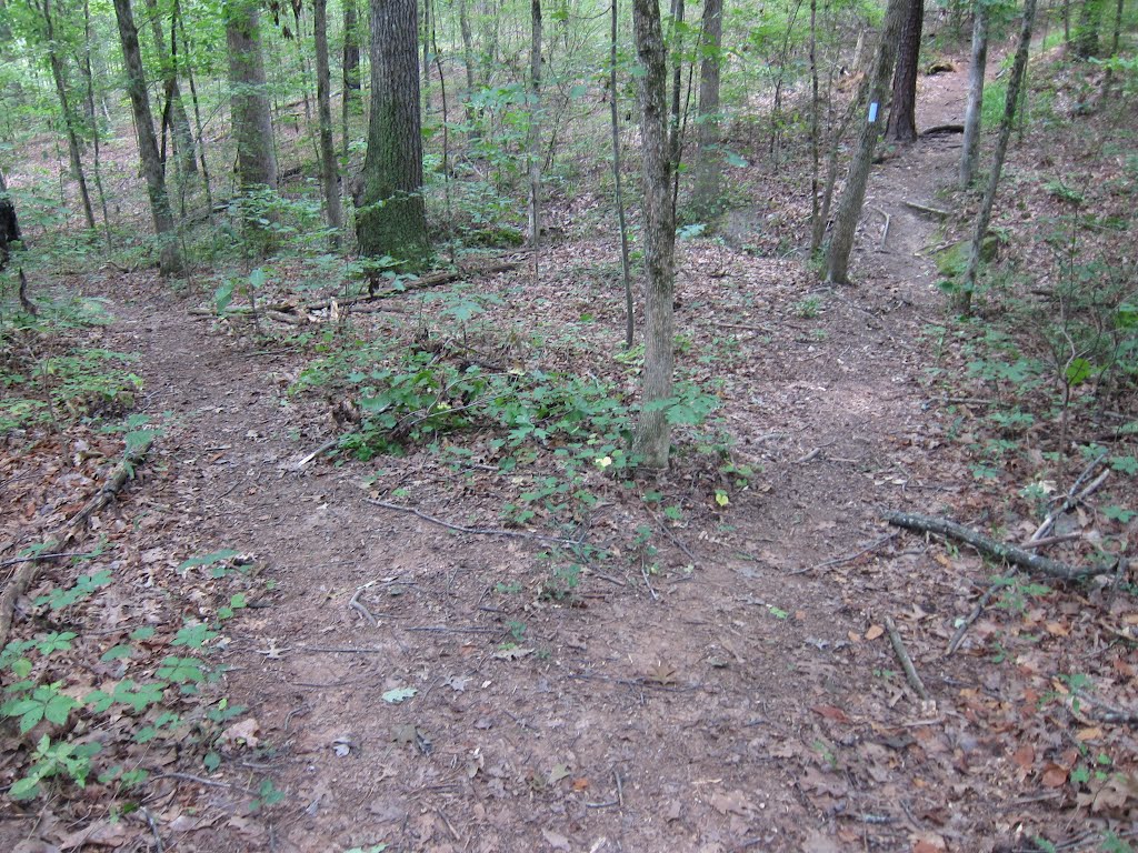 Stone Mountain Park Muscogee Trail by bryanf