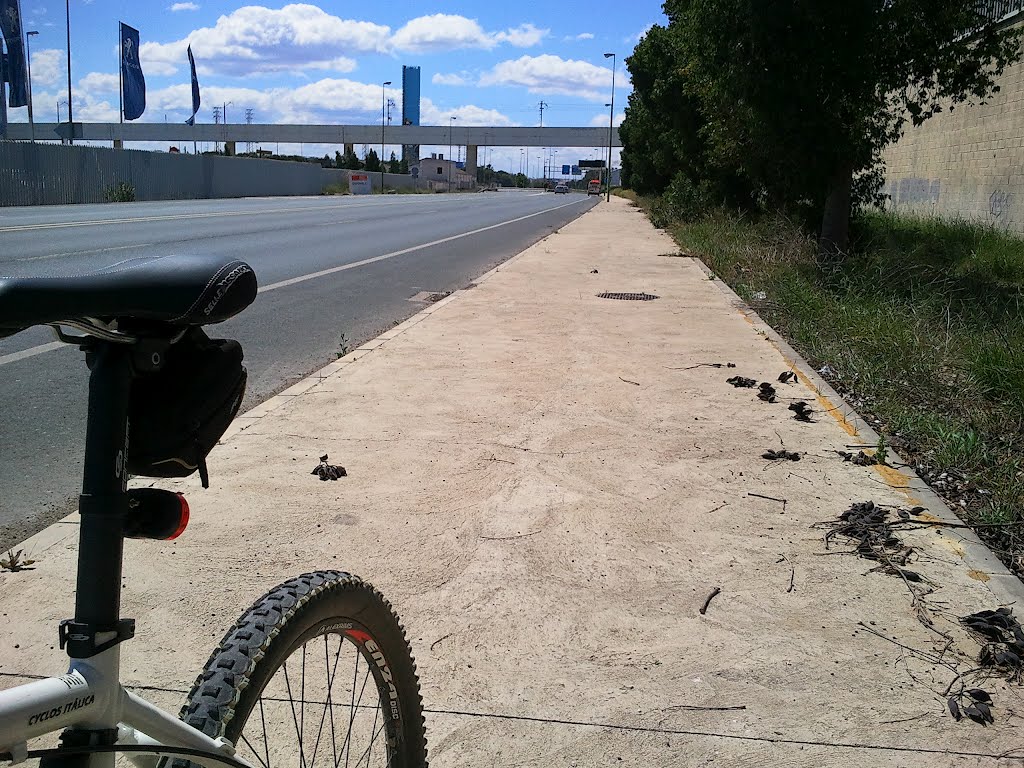 POSIBLE CARRIL BICI by OLALLAREAL