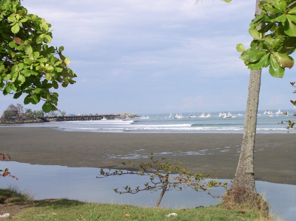 Quepos Harbor by Ronald Ottobre