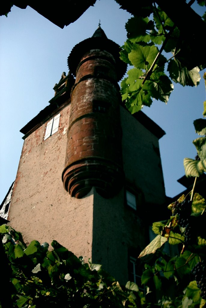 Collonges la Rouge by jacques19