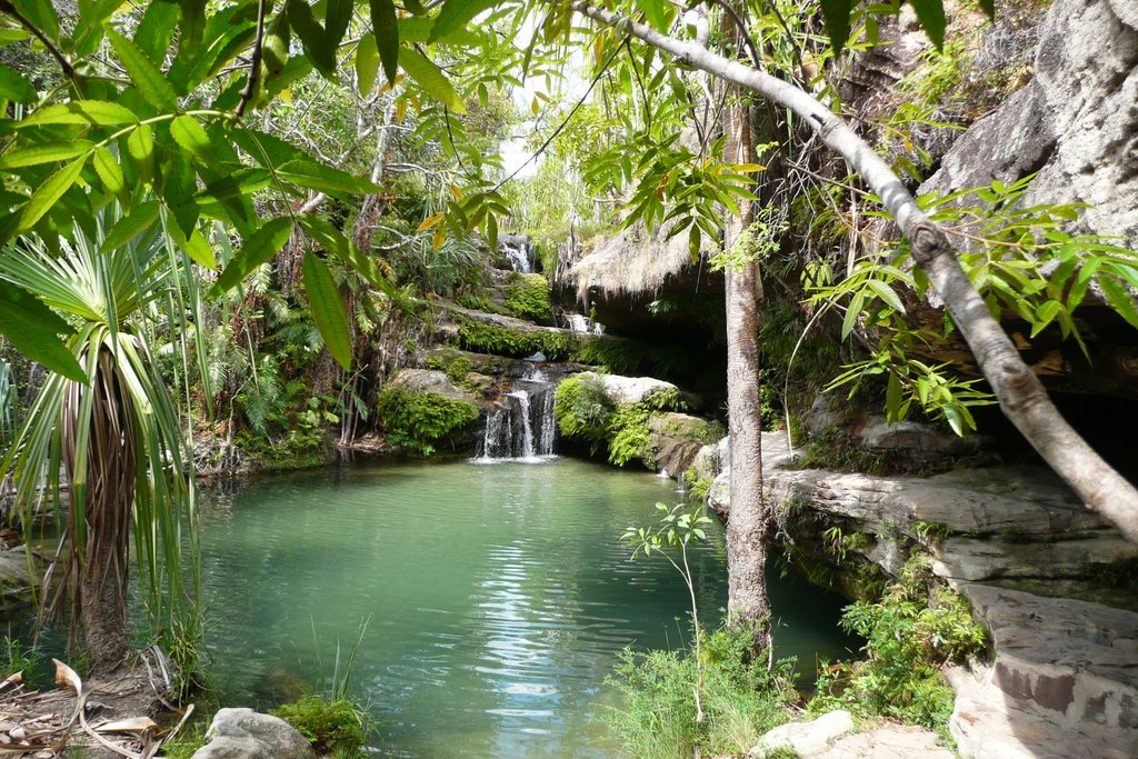 PISCINE NATURELLE by Mathieu Laureux