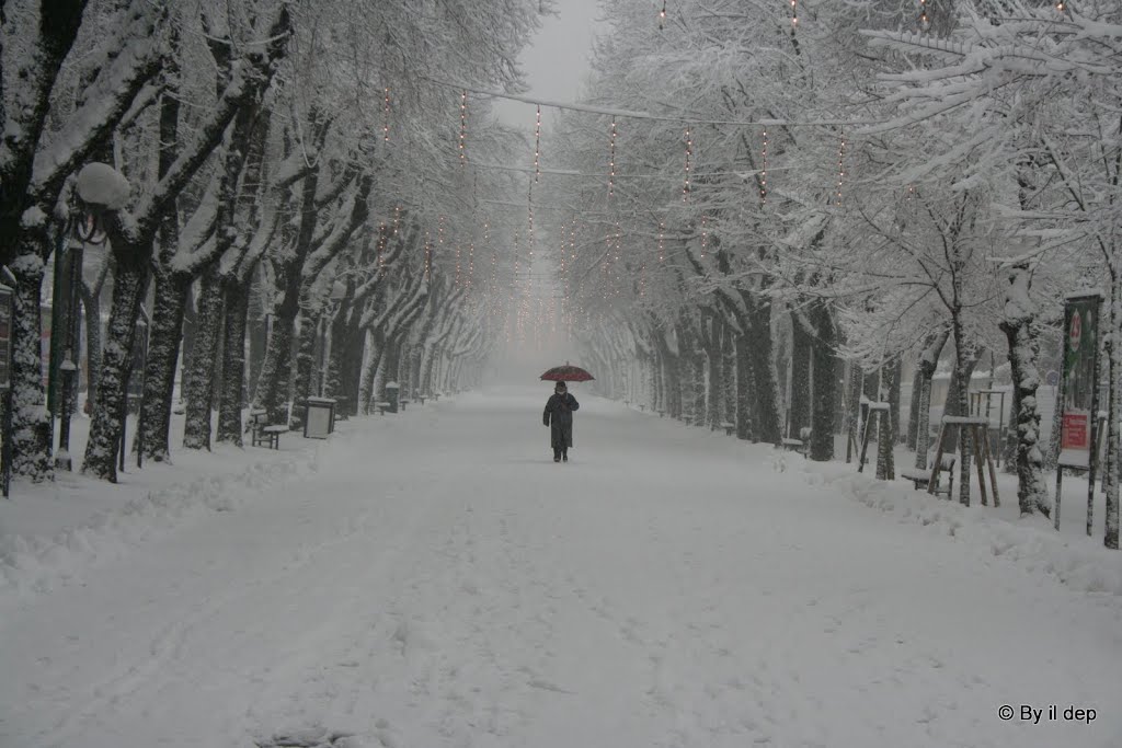 Viale Garibaldi by Davide Depaoli