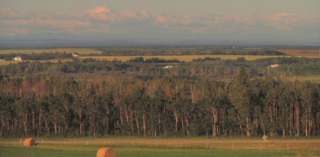 Contrasting Golden Prairie And Green Forest With The Hills Stretching Far Beyond West Of Grande Prairie AB Aug '12 by David Cure-Hryciuk